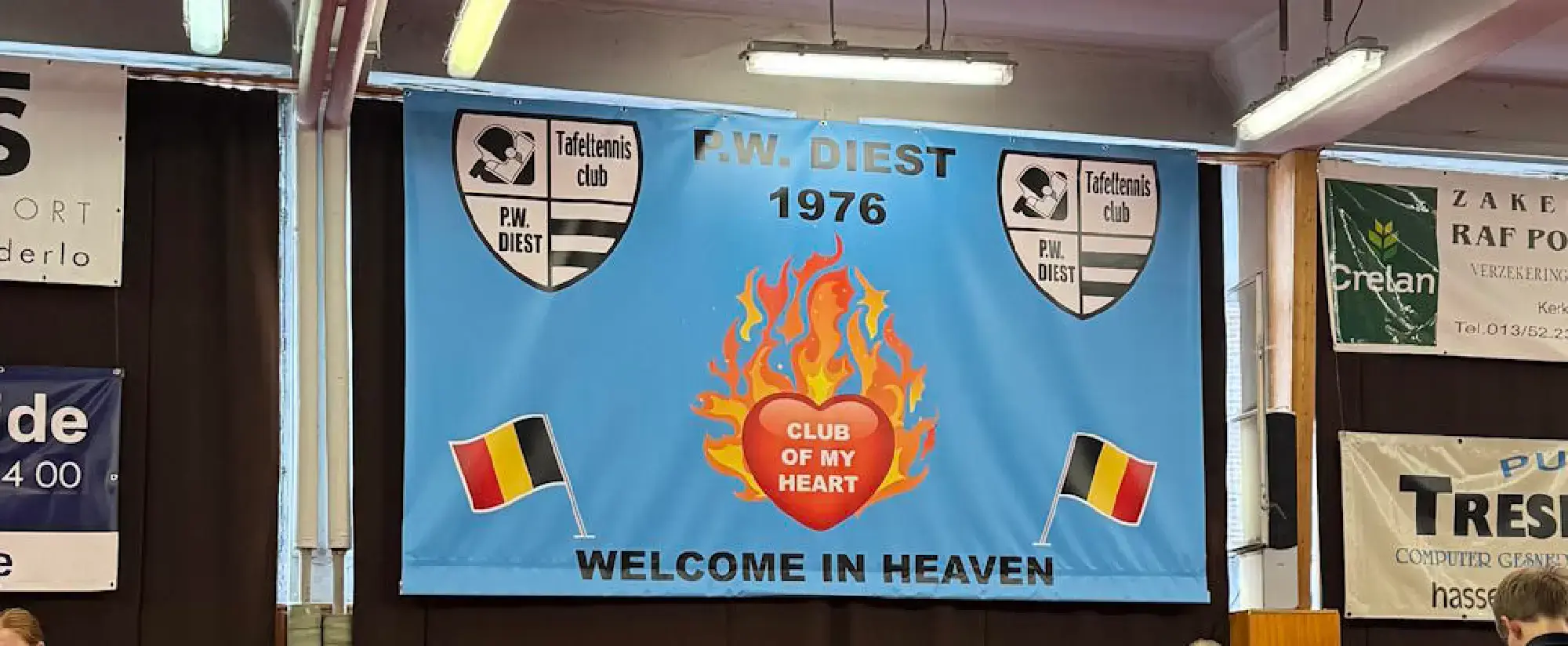 2025-pwdiest-heaven.webp